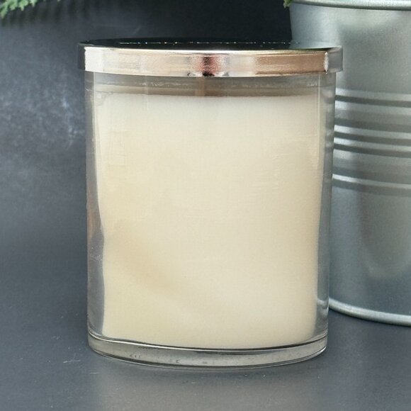 BBW Calypso Clementine Bath & Body Works Single Wick Candle - Picture 2 of 10